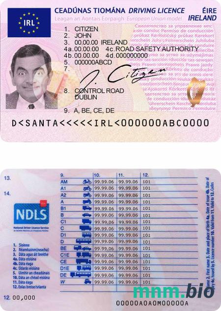 Szablon prawa jazdy w Irlandii w formacie PSD, ze wszystkimi czcionkami